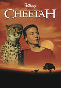 play video on VUDU