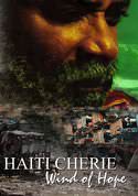 play video on VUDU