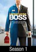 play video on VUDU