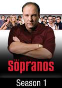 play video on VUDU