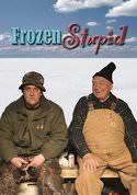 Frozen Stupid