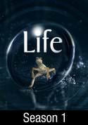 play video on VUDU