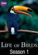 David Attenborough: BBC Earth: Life of Birds: Meat Eaters