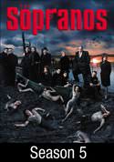 play video on VUDU