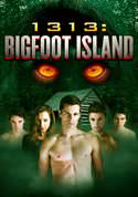 play video on VUDU