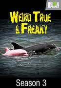 Weird, True & Freaky: Season 3
