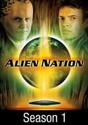 play video on VUDU