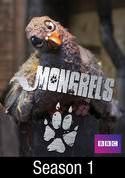 Mongrels: Springwatch
