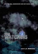 play video on VUDU