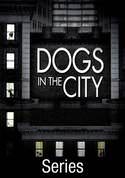 Dogs in the City [TV Series]