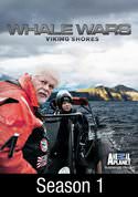 play video on VUDU