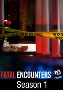 Fatal Encounters: Final Fantasy