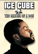 play video on VUDU