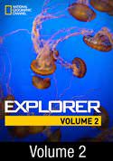 National Geographic Explorer: Finding the Lost da Vinci