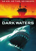 play video on VUDU