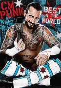 WWE: CM Punk - Best in the World