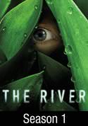 The River: Row, Row, Row Your Boat