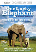 One Lucky Elephant