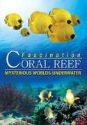 Coral Reef