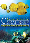 Fascination Coral Reef: Mysterious Worlds Under Water