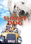play video on VUDU