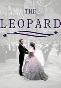 play video on VUDU