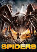 Spiders