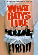 What Boys Like