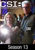 CSI: Crime Scene Investigation: Skin In The Game