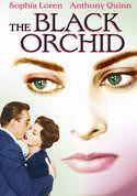play video on VUDU