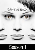 Orphan Black: Entangled Bank