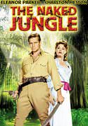 play video on VUDU