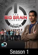 The Big Brain Theory: Pure Genius: Three Little Pigs