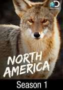 North America: No Place to Hide