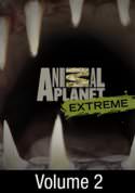 Animal Planet: Extreme: Devoured: Man-Eating Super Snake Returns