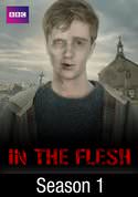 In The Flesh: Episode 3