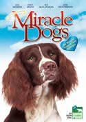 Miracle Dogs