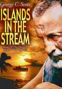 play video on VUDU