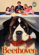 play video on VUDU