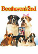 play video on VUDU