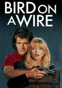play video on VUDU