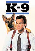 play video on VUDU