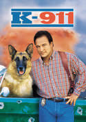 play video on VUDU