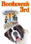 play video on VUDU