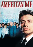 play video on VUDU