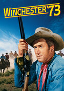 play video on VUDU