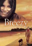 play video on VUDU
