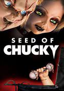 play video on VUDU