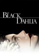 play video on VUDU