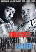 play video on VUDU